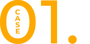CASE 01.